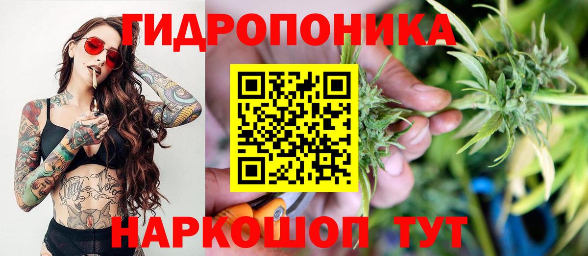 Бошки Шишки MAZAR Лабытнанги